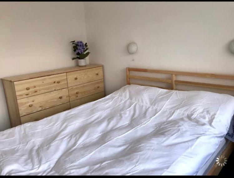 Great Price, Lovely Comfy Flat.2 Mins From The Sea Лайм Риджис Екстериор снимка